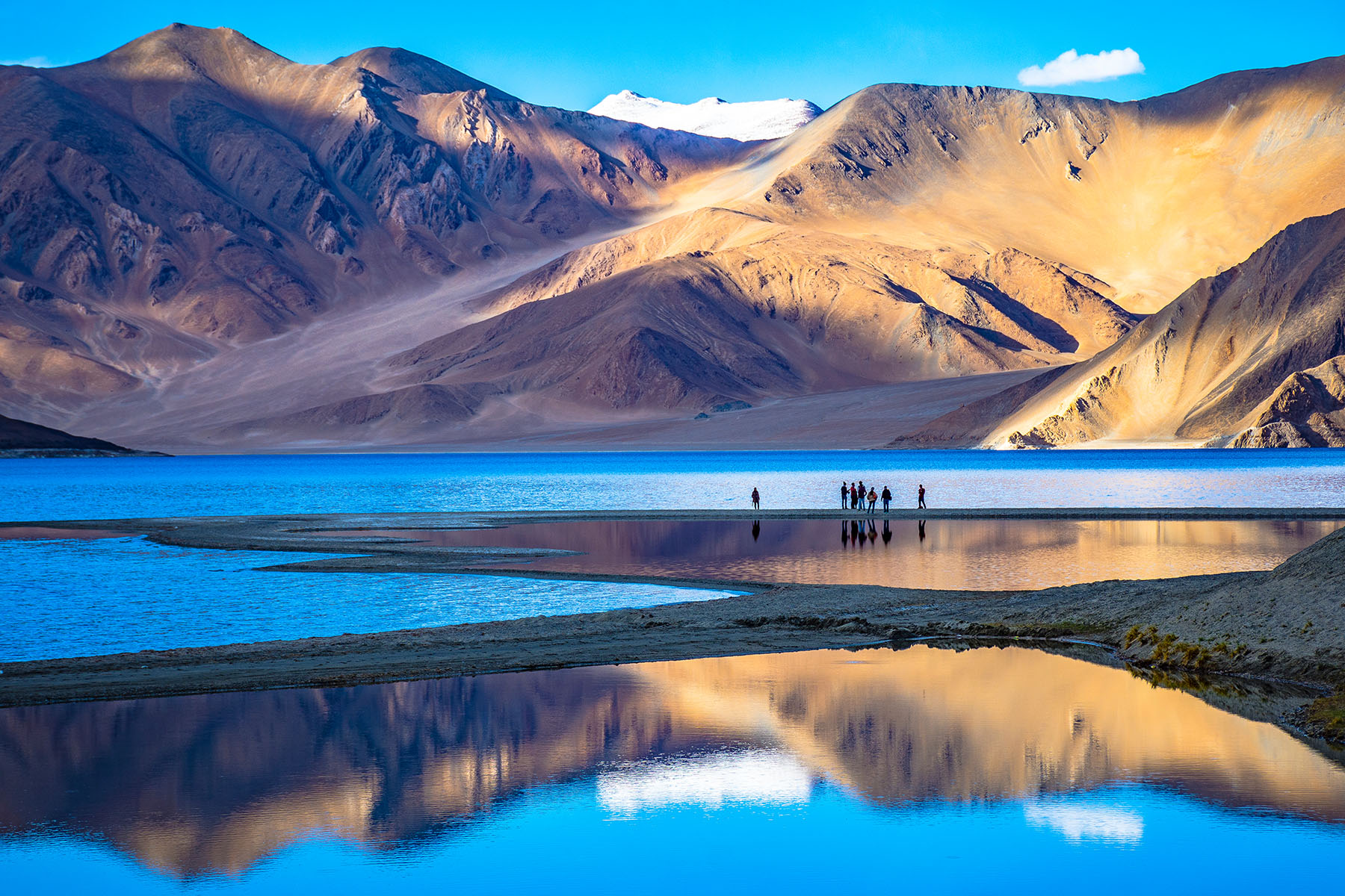 Explore ladakh pintail worldwide